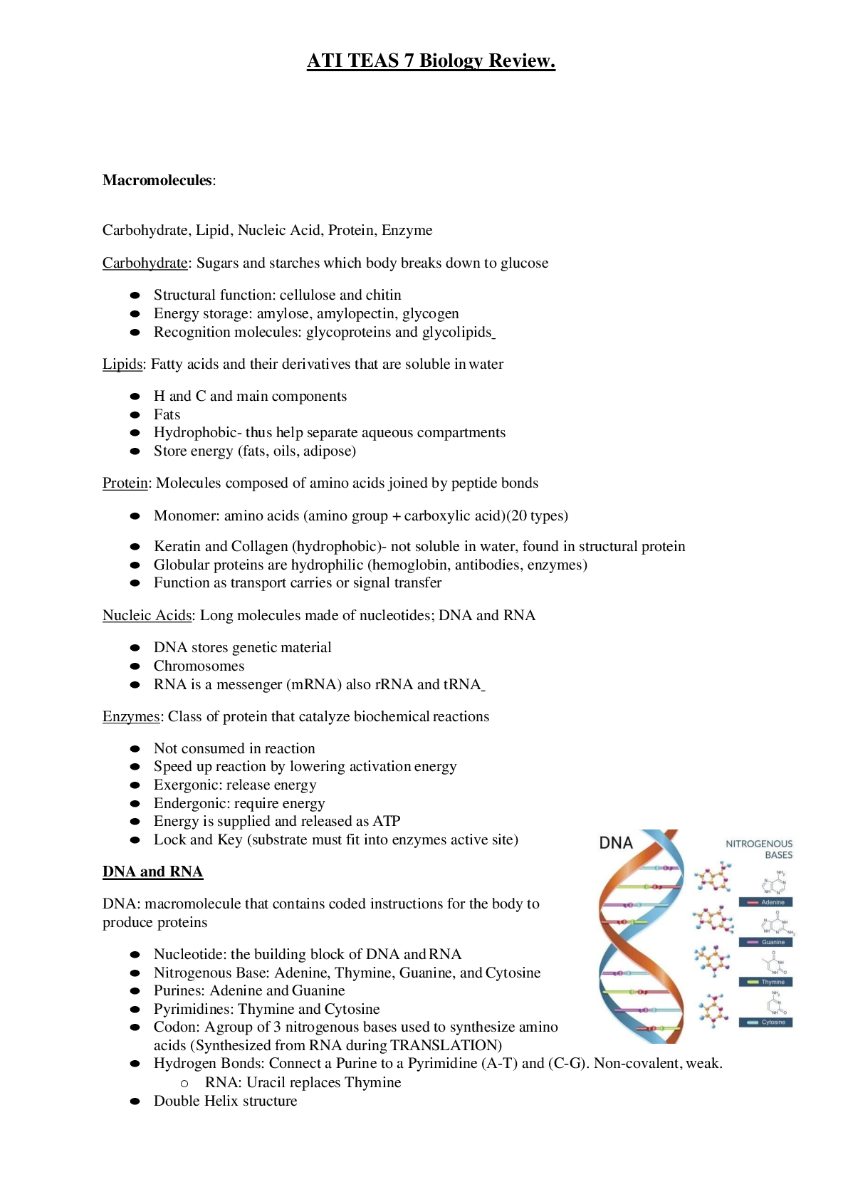 Preview image of ATI TEAS 7 Biology Review document